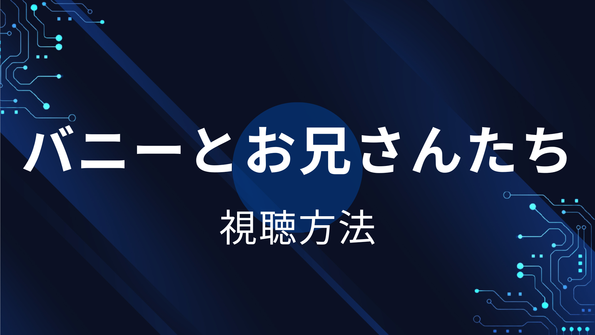 バニーとお兄さんたち